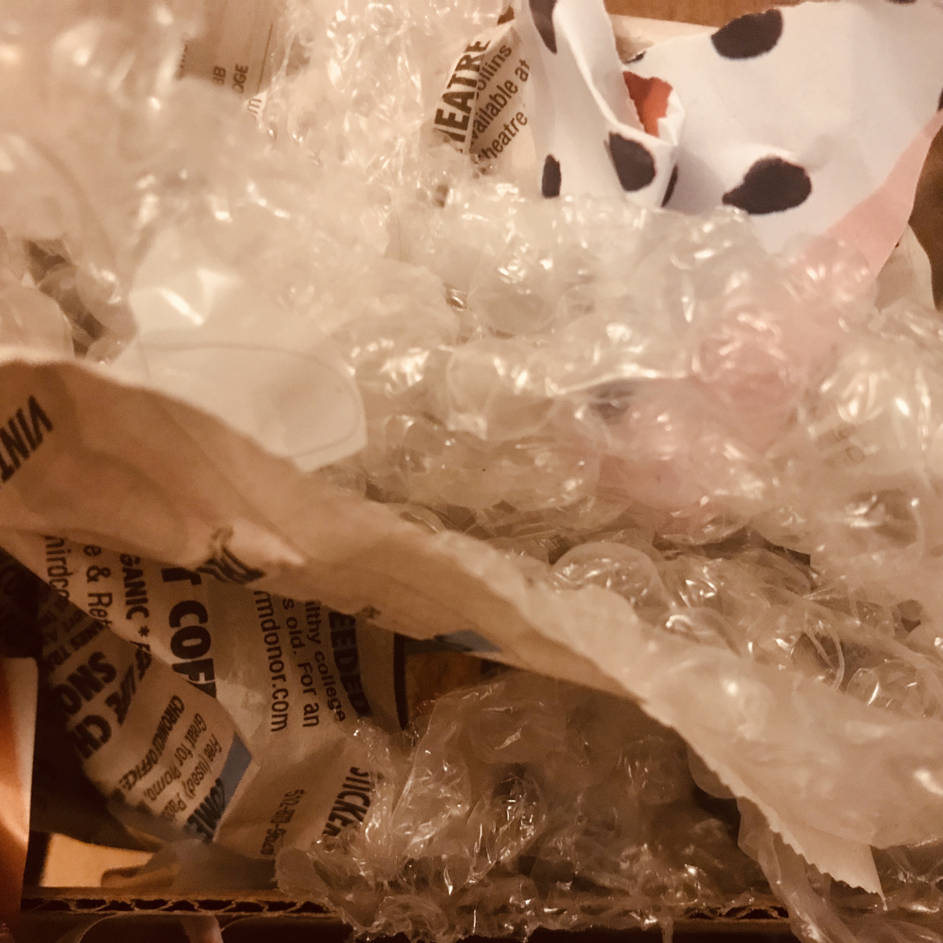 (No text on this image--just bubble wrap, newspaper, and cardboard.)